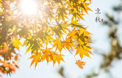 立秋養(yǎng)生：順應(yīng)時(shí)節(jié)，調(diào)養(yǎng)身心