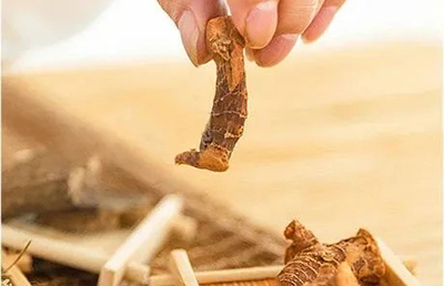 夏日三伏，教你如何科學(xué)養(yǎng)生，飲食指南讓你健康又消暑…